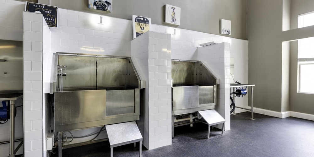 The Majestic at Downtown Baldwin Park - Luxury Apartments in Downtown Orlando - Dog Washing Station