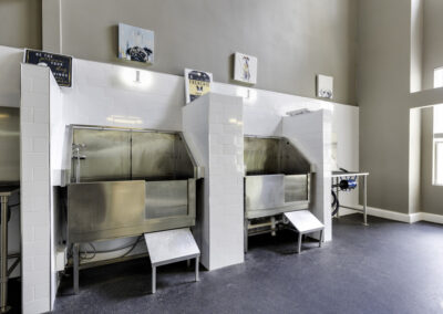 The Majestic at Downtown Baldwin Park - Luxury Apartments in Downtown Orlando - Dog Washing Station