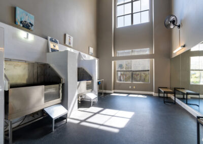 The Majestic at Downtown Baldwin Park - Luxury Apartments in Downtown Orlando - Dog Washing Station